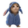Stitch 14