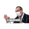 Macacos 5