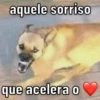 ATUALIZE SEUS MEMES  12