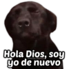 Hola Dios, soy
yo de nuevo
@Harley_Stickers