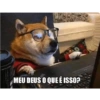 Pedroca2 28