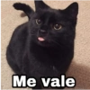 Me vale Harley Stickers