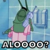Plankton 13