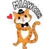 Mister Puss 5