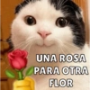 UNA ROSA PARA OTRA FLOR
