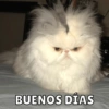 BUENOS DÍAS