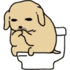 Nudaeng 🐶 Coreano Chamba 20
