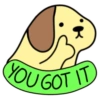 YOU GOT IT