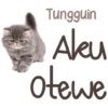 Kucing Lucu 9