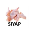 SIYAP