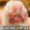 Buenas vibras Harlay_Stickers