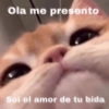 Memes de pelos  5