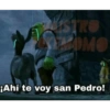Memesitos Shrek💚 13