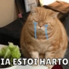 IA ESTOI HARTO