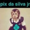 SHITPOST PROS AMIGOS 13