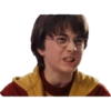 Harry potter 24