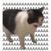 Cute cat stickers🐾🐱 5