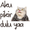 Kucing Lucu 5
