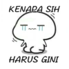 Pentol bucin lucu 11