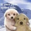 Sí, pero yo te
quiero más.