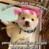 Frases de amor 17