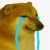 Meme anjing 7