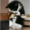 GATOS LOCOS 2 27