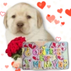 KANE_STICKERS
¿QUIERES
Mi NOVICI?