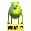 WHAT !?