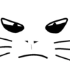 My cat 11