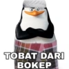 TOBAT DARI BOKEP