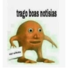 Novos memes do laranjo fc 27