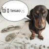 SHITPOST PROS AMIGOS 7