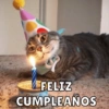 Cumpleaños🥳 5
