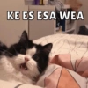 KE ES ESA WEA