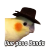 Memes pa’ Enviar 🔥🤡 12