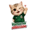 Vamos México ⚽✨🇲🇽 9