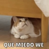 QUE MIEDO WE