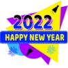 New Year 2022 8
