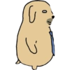 Nudaeng 🐶 Coreano Chamba 12