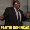 117 PARTIU DOMINGAR