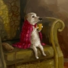 ✏️Pintura de animalitos✏️ 6