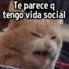 Te parece q tengo vida social