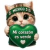 Vamos México ⚽✨🇲🇽 8