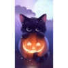 Gatos Halloween🎃 21