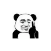 Panda douyin meme 13