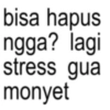 bisa hapus ngga? lagi stress gua monyet