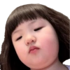 BOCIL KOREA 8