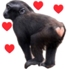 Reações de amor 15