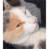 Aaaaaaaa 22